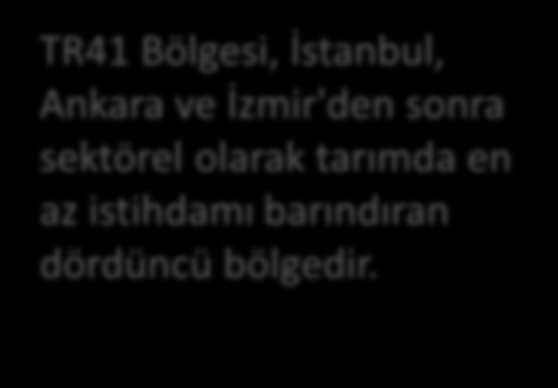 Tarımda İşgücü TR41 Bölgesi, İstanbul, Ankara ve İzmir'den sonra sektörel olarak