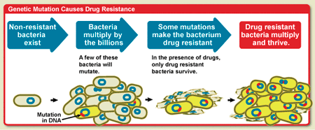 Antimikrobik Direncin Genel Mekanizmaları Gen Mutasyonu Spontan gelişir Tek nükleotid etkilenir Gen başına