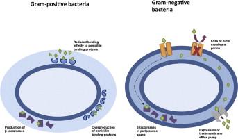 Antimikrobik Direncin Genel