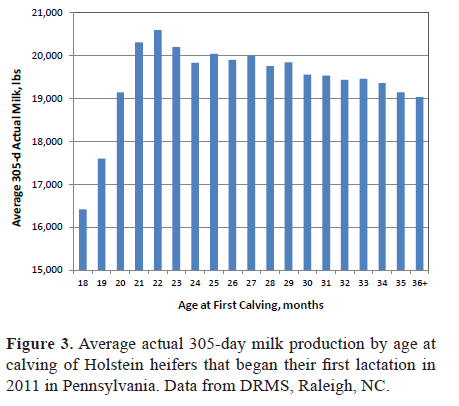 305 günlük Ortalama süt verimi, kg 9500 9000 8600 8100 7700 7250 6810 İlk buzağılama yaşı, ay