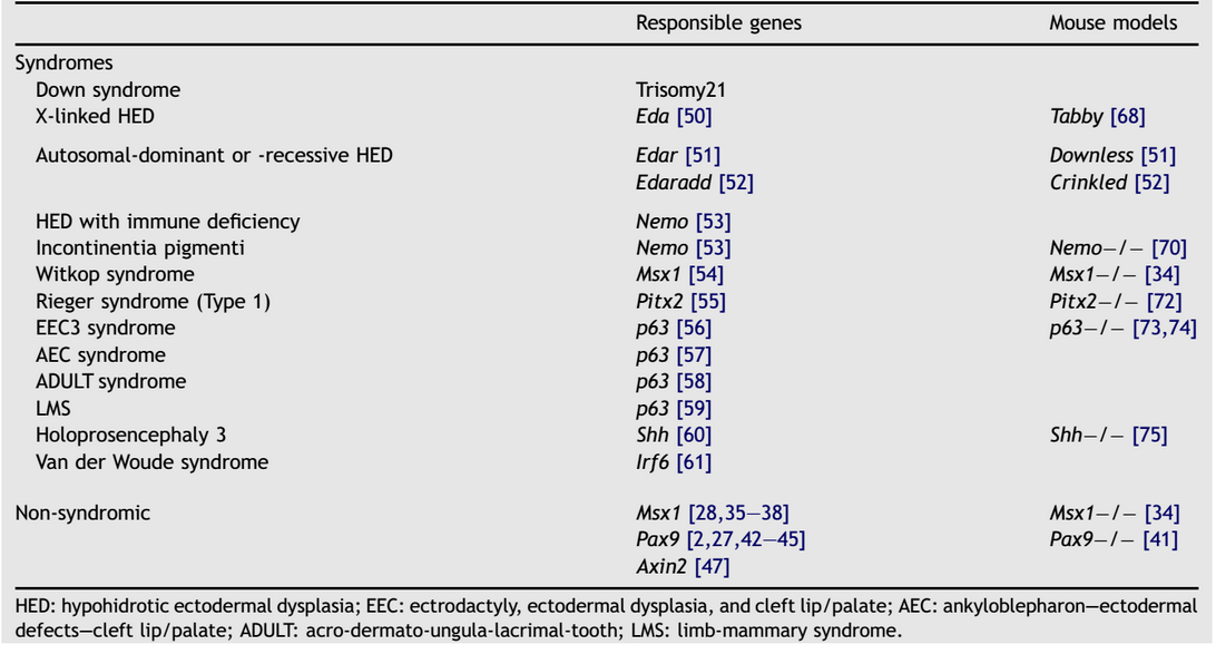 TABLO 1: Sebep Olan Genin, Sendromik ve Non-sendromik Formlarla İlişkisi (6). 2.