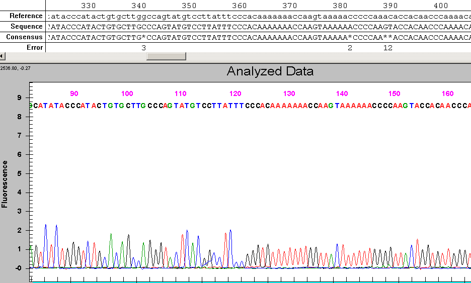 Grafik 3.1 SeqF primer kullanılarak elde edilmiģ DNA dizi analizi ham verisi.