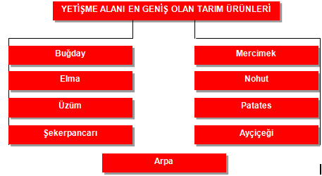 İç Anadolu nun Üretiminde 1.Sırada Olduğu Tarım Ürünleri Baklagiller Nohut, mercimek ve fasulyenin genel adıdır. Toprağı azot bakımından desteklerler. Nöbetleşe ekimde sıklıkla kullanılırlar.