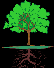 FİKİR ANALİZ PLANLAMA FİNANS UYGULAMA İZLEME Analiz Sorun Analizi/ Sorun Ağacı Nasıl Yapılır?