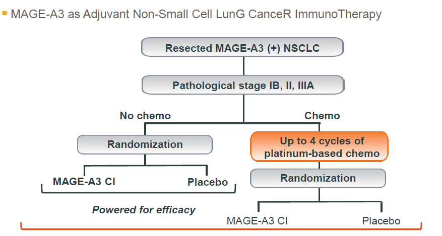 Faz III NSCLC: MAGE-A3 MAGRIT