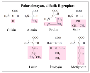 AÇLIKTA Glukagon salınımı; Yağ dokusundan karaciğere gelen yağ asitleri, enerji oluşturmak üzere mitokondride yıkılır. Glukagon etkisi ile yağ dokusunda lipoliz aktiflenir.