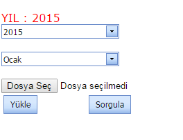 VERİ GİRİŞİNE AİT YIL SEÇİMİ VERİ
