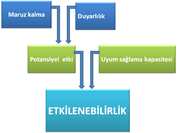 Şekil 24. Etkilenebilirliğin Fonksiyonları Kaynak: Avrupa İklim Değişikliği Uyum Konferansı, 2013