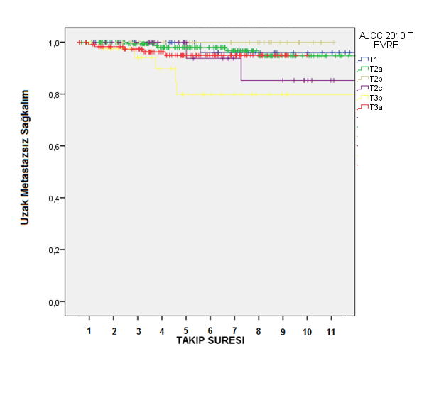 Sağkalım Şekil 4.38 Protokol 114 ve 106 daki T Evresine Göre Uzak Metastazsız Bu gruptaki hastaların klinik LN pozitifliğinin genel sağkalıma olan etkisine bakılmıştır.