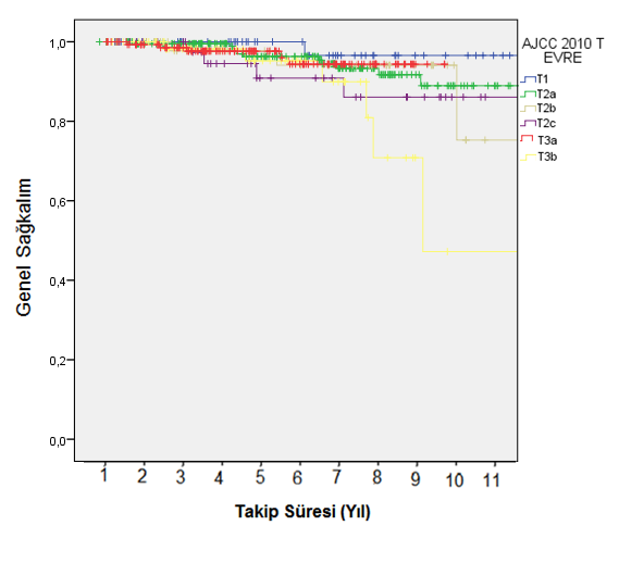 4.2.4 T Evresine Göre Genel Sağkalım Tümörün yayılımını belirten T evresine göre sağkalım açısından bakıldığında T1 istatiksel olarak T3b den (P= 0.009) ve T2a ise T3b den daha iyi bulunmuştur (P<0.