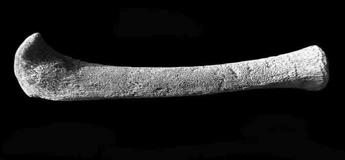 Değirmentepe (Malatya) çocuk iskeletleri üzerinde yapılan çalışmalar, bu iskeletlerin Kalkolitik ve Ortaçağ tarihli olduğunu ortaya koymuştur.