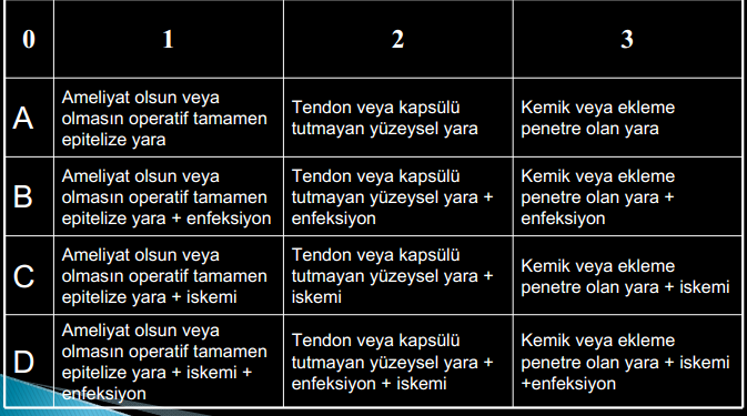 Teksas Üniversitesi San