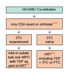Tedavi HIV/HBV tüm hastalar ART almalı LAM deneyim(+); ART de TDF+NRTI LAM deneyim (-); ART de TDF+LAM/