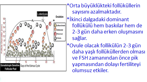 Mevsim Isı