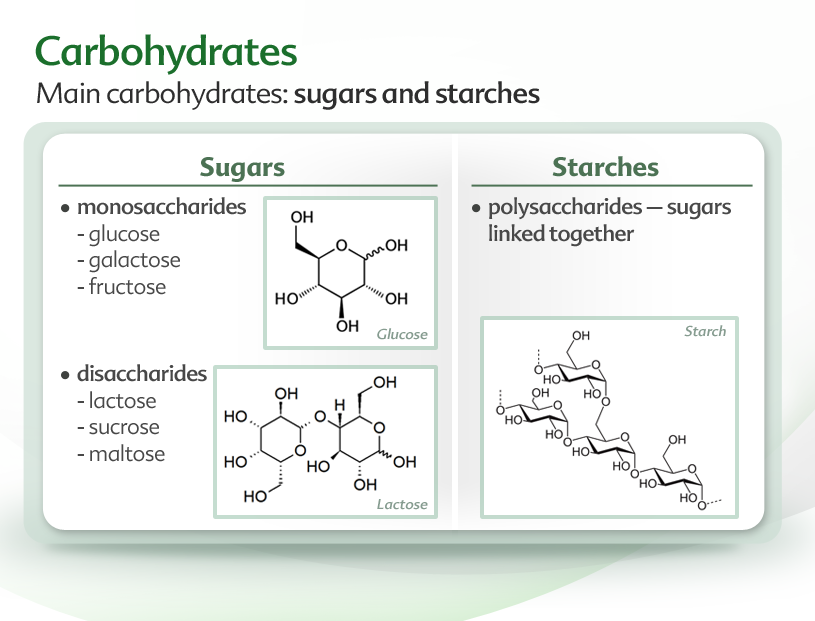 KARBONHİDRATLAR Temel Karbonhidratlar: şekerler ve nişasta Şekerler monosakkaritler -glikoz -galaktoz -fruktoz