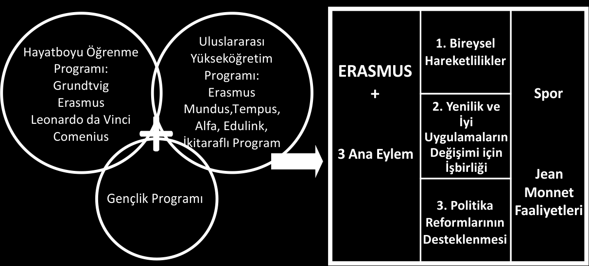 ERASMUS+ Tek Bir Program: Basitleştirilmiş Yapı 2007-2013