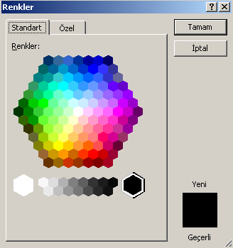 Eğer bu alanda olmayan bir renk seçilmek isteniyorsa Tüm renkler menüsüne tıklanır. Açılan pencerede iki sekme vardır: Standart ve Özel.