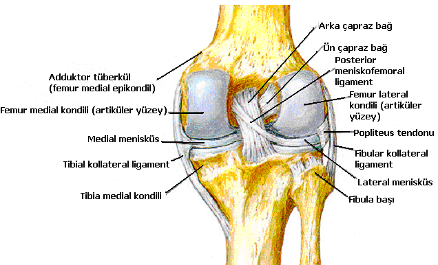 Şekil 4.