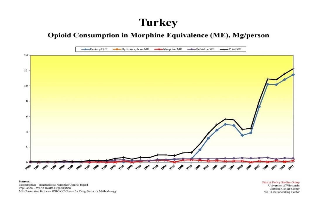 Türkiye de Palyatif