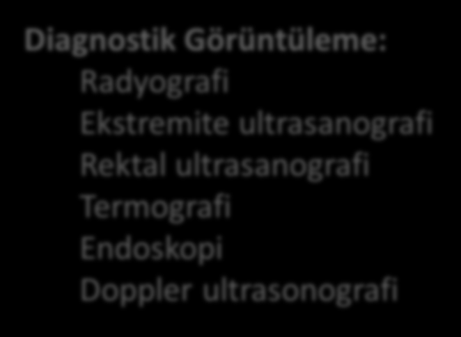 Diagnostik Görüntüleme: Radyografi Ekstremite ultrasanografi