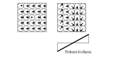 Şekil 10. Frekans kodlama gradyenti uygulandıktan sonra protonların durumu [16] Faz kodlama gradyentininin esas amacı kesit içindeki kolonlar arasında faz kayması ( phase shift ) oluşturmaktır.