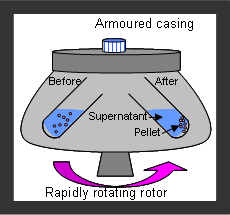 SANTRİFÜJLEME Santrifüjler yardımıyla yüksek hızda döndürülerek merkezkaç