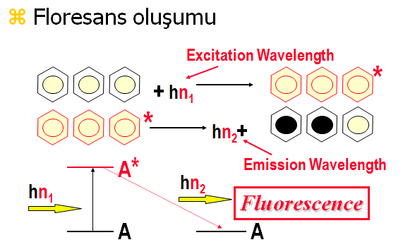 Fluoresans dedektörü Organik maddelerin yaklaşık % 15 i fluoresans oluşturma yeteneğine sahiptir.