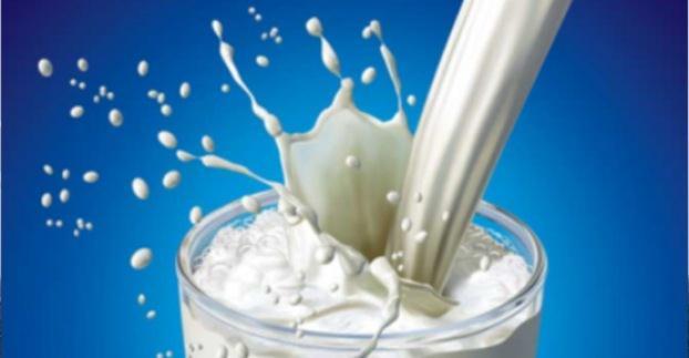 Laktoz (süt şekeri) Süt veren hayvanların sütlerinde bulunur. Direkt fermentasyona uğrar.