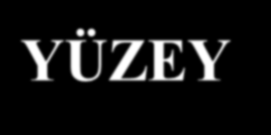 APİKAL YÜZEY Mikrovillus Sıkı bağlantı LATERAL YÜZEY Adherens bağlantı Desmozom Gap