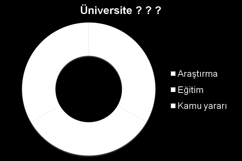 Üniversitelerde proje kültürü