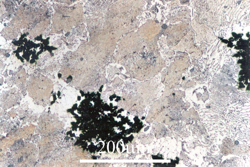 Beyaz dökme demirde karbon, perlit ve sementit (Fe3C) halindedir.