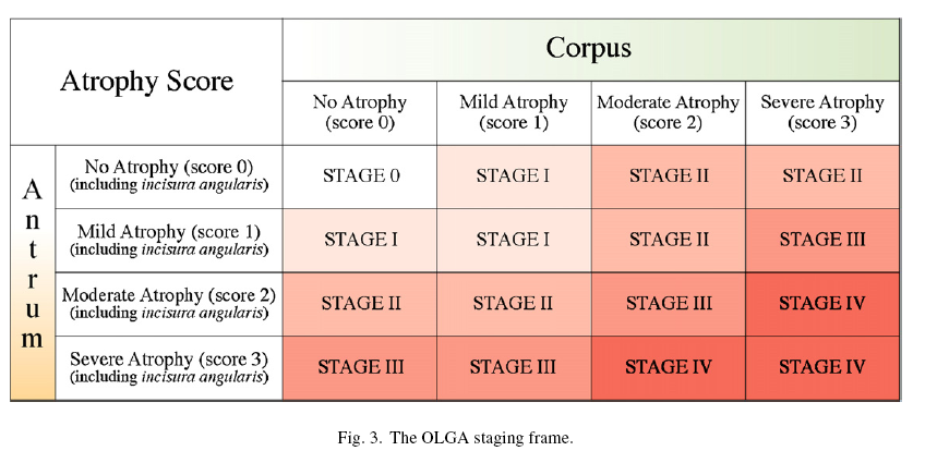 OLGA = Operative Link for Gastritis