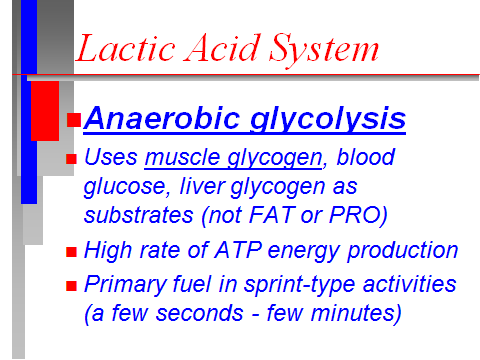 Anaerobik Glikolisiz Sistem Kas ve karaciğer glikojen, Kan