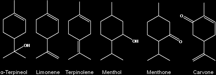 2.2.1.1 Monoterpenler Ġki izopren unitesinden meydana gelen, 10 karbonlu terpenlere monoterpenler denir.
