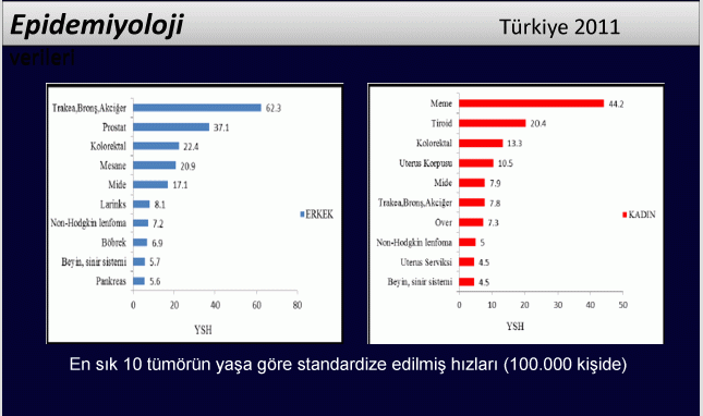 Mide Kanseri