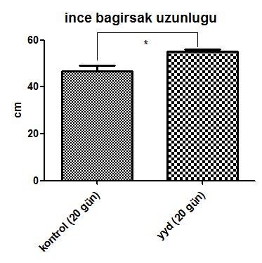 20 günlük yavruların