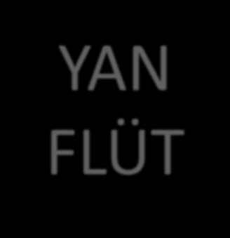 YAN FLÜT