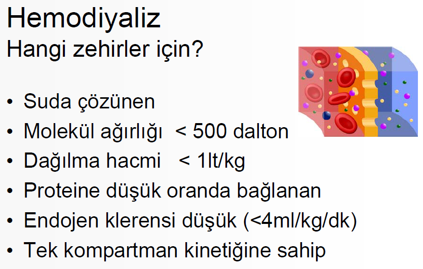 - Vücutta dağılım hacminin küçüklüğü