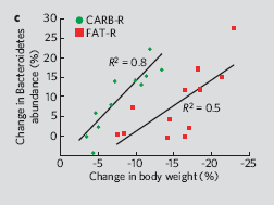 İnsan Florası ve Obezite % Bacteriodetes değişimi: CARB-R FAT-R %2 kilo kaybı