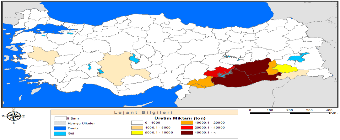 Tablo 4.25. Türkiye mercimek üretim miktarları (ton) Yıl Toplam Kırımızı Pay Yeşil Pay Mercimek Mercimek (%) Mercimek (%) 1988-1989 780.000 574.500 73,7 205.500 26,3 1990-1991 743.000 535.