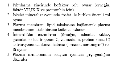 Ca serumda üç fraksiyonda bulunur. % 50 si iyonize, % 40 ı proteine bağlı ve % 10 u sitrat ve fosfat iyonu ile kompleks yapıdadır.