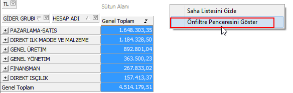 Aşağıda gider grubu sahasına içerir filtresi verilmektedir. Bu filtre verilirken **KELİME** şeklinde kullanılmaktadır.