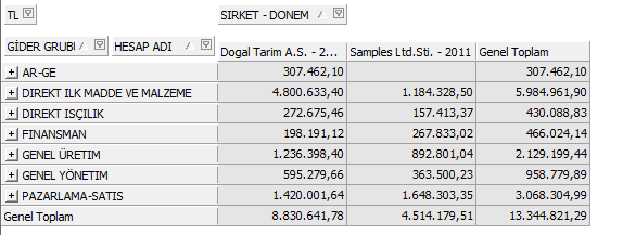 4.2. Konsolide Raporlar Konsolide raporlar referans edilen bir raporun konsolide edilmesi ile oluşturulur. Örneğin bir raporu 3 döneme referans ettik.