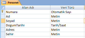 Örnek Veritabanının oluşturulması Bu uygulamada kullanılacak Personel tablosu için bir veritabanı oluşturulması gerekir. 1. Microsoft Access ile kisi.