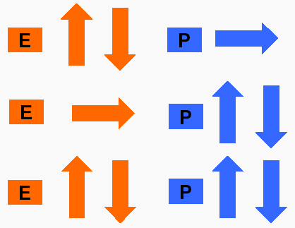 Enerji (E) : Protein (P) Oranları E:P oranlarını niçin değiştirelim?