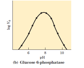 4. ph: her enzimin etki ettiği ph farklıdır.