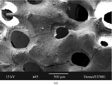 Kalsiyum Fosfat Seramikler Kemiğe benzer implant malzemelerdir. Bileşimlerinin kemiğin mineral fazına benzer olması nedeniyle kemikle uyumludur.