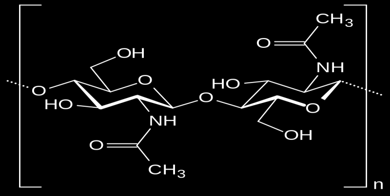 Şekil1. Kitin in polimerik yapısı 3.3.2. Kitosan Kitosan, kitinin alkali ortamda deasetilasyonuyla elde edilen önemli bir amino polisakkarittir.