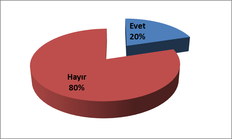 Boş vakitlerinizi nasıl değerlendiriyorsunuz?