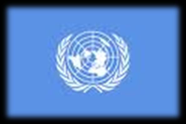 Birleşmiş Milletler Genel Kurulu,